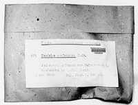 Daedaleopsis confragosa image